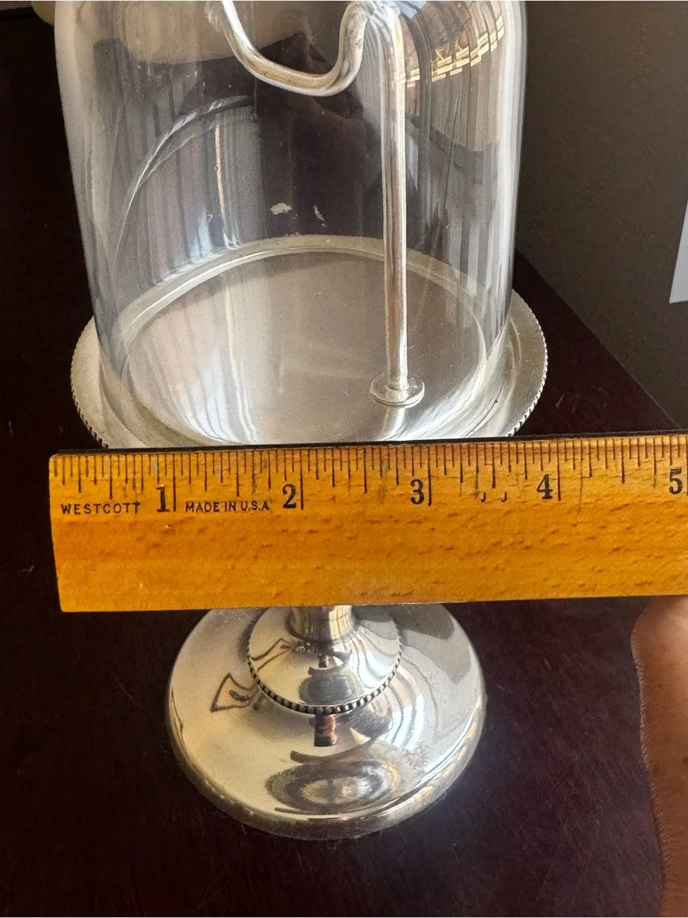 Pottery Barn Clear Glass Cloche with Silver Pedestal